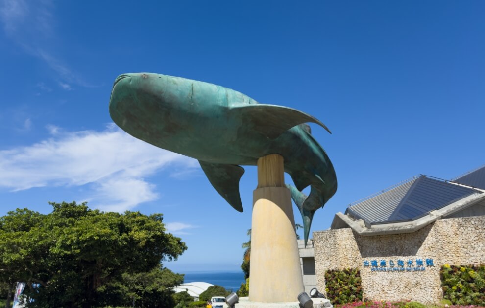 美ら海水族館